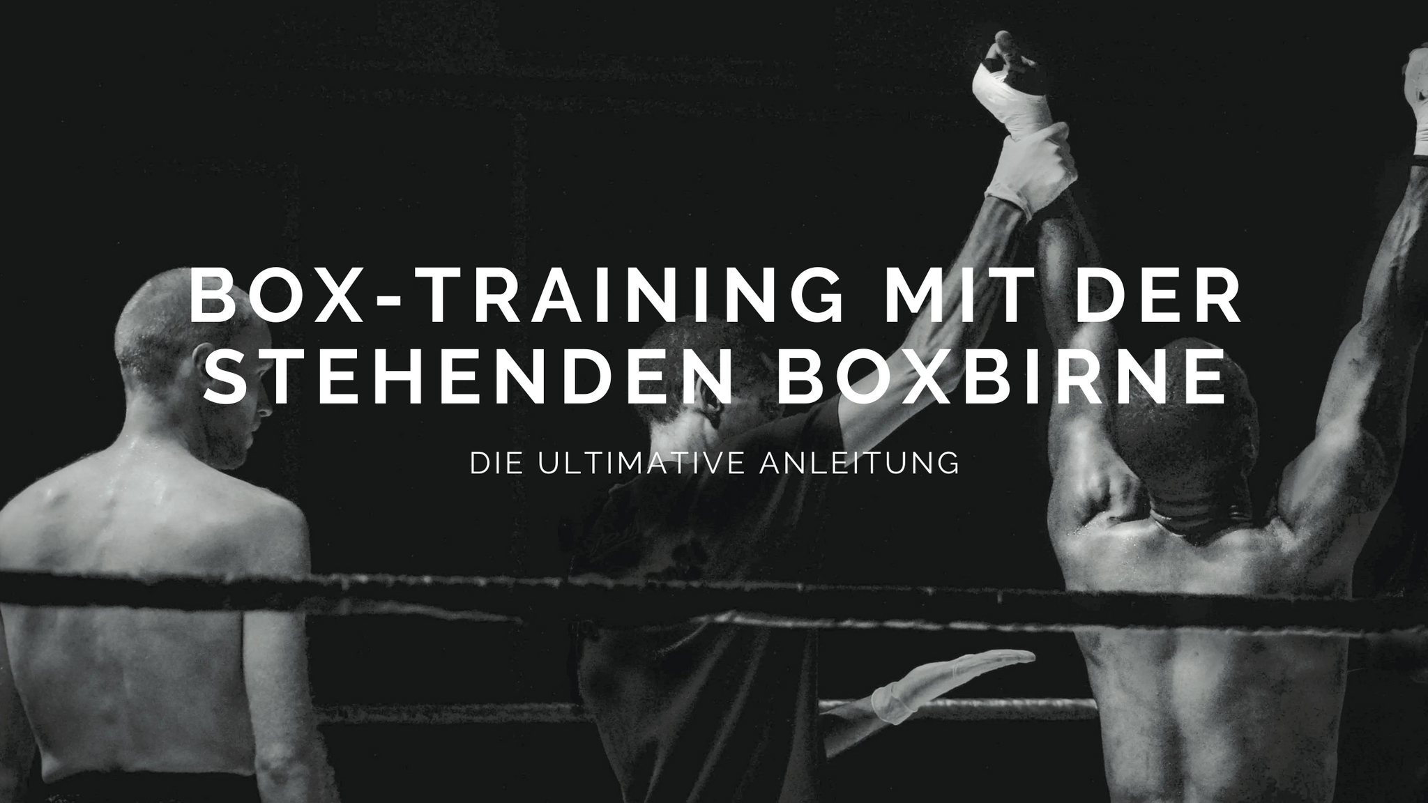 Boxtraining mit der Boxbirne
