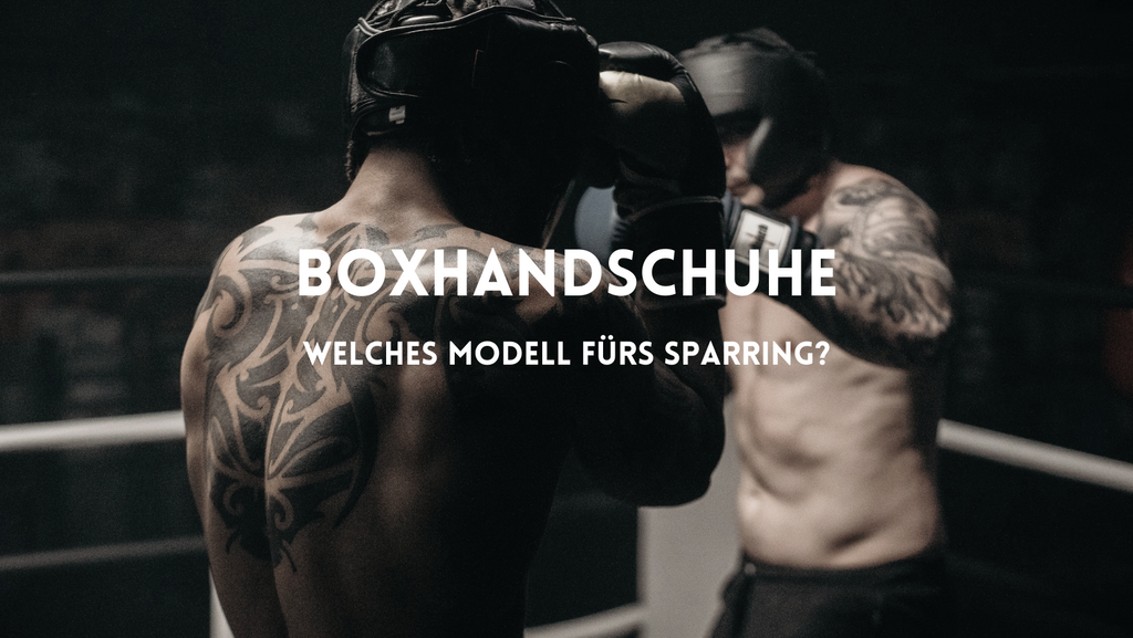 Boxer beim Sparring - welche Boxhandschuhe sind ideal?