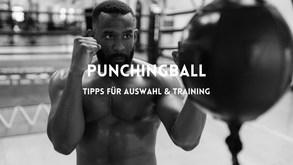 Boxer am Punchingball: Tipps für Auswahl und Training