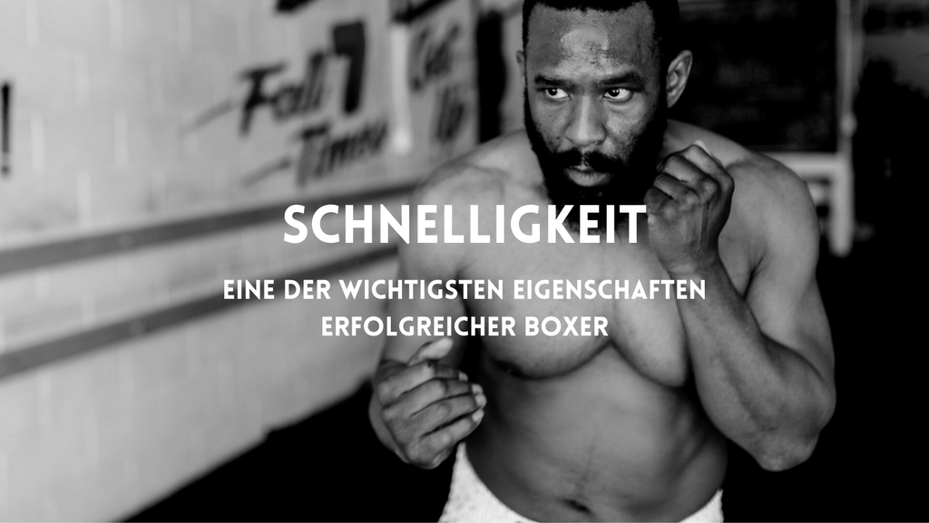 Boxer beim Training 