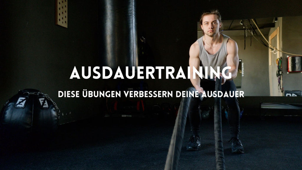 Ausdauertraining für Boxer