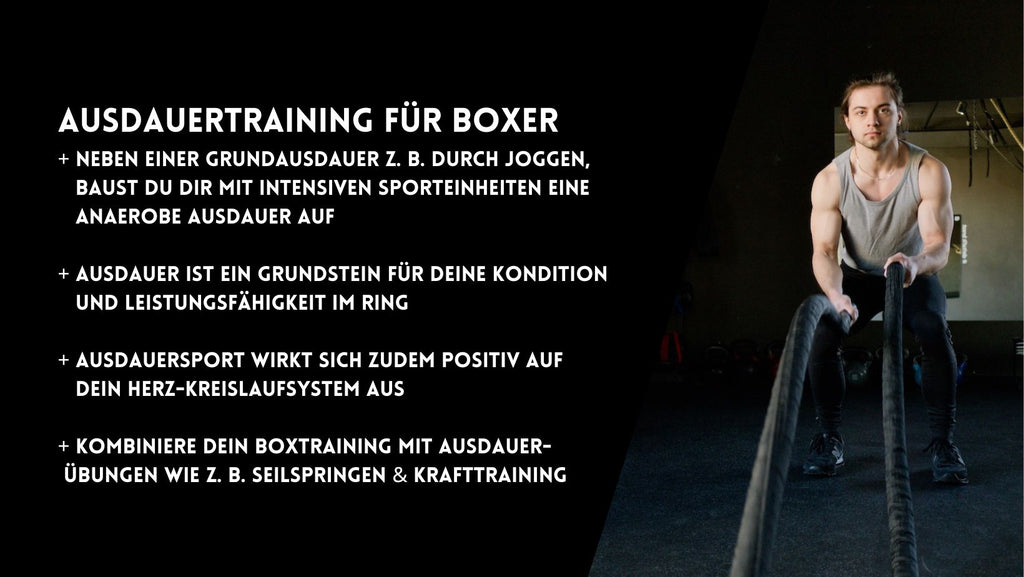 Ausdauertraining für Boxer: Infos und Tipps