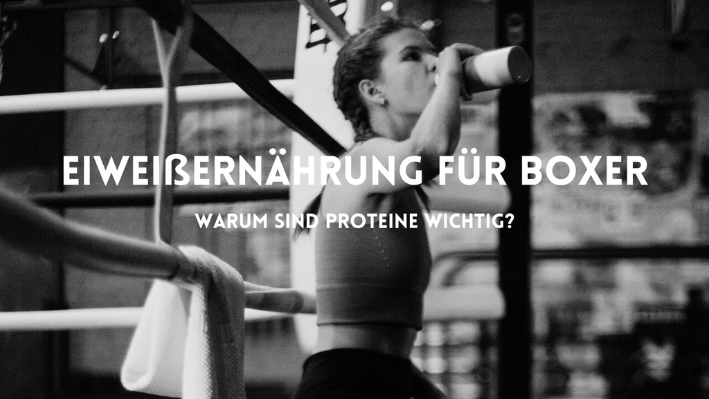 Was du über Proteine für Boxer wissen musst