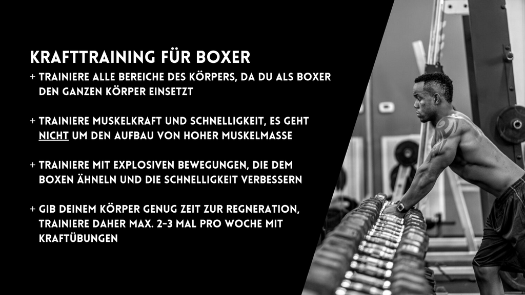Wie sieht das Krafttraining für Boxer aus?